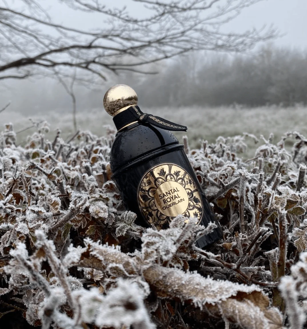Guerlain Santal Royal